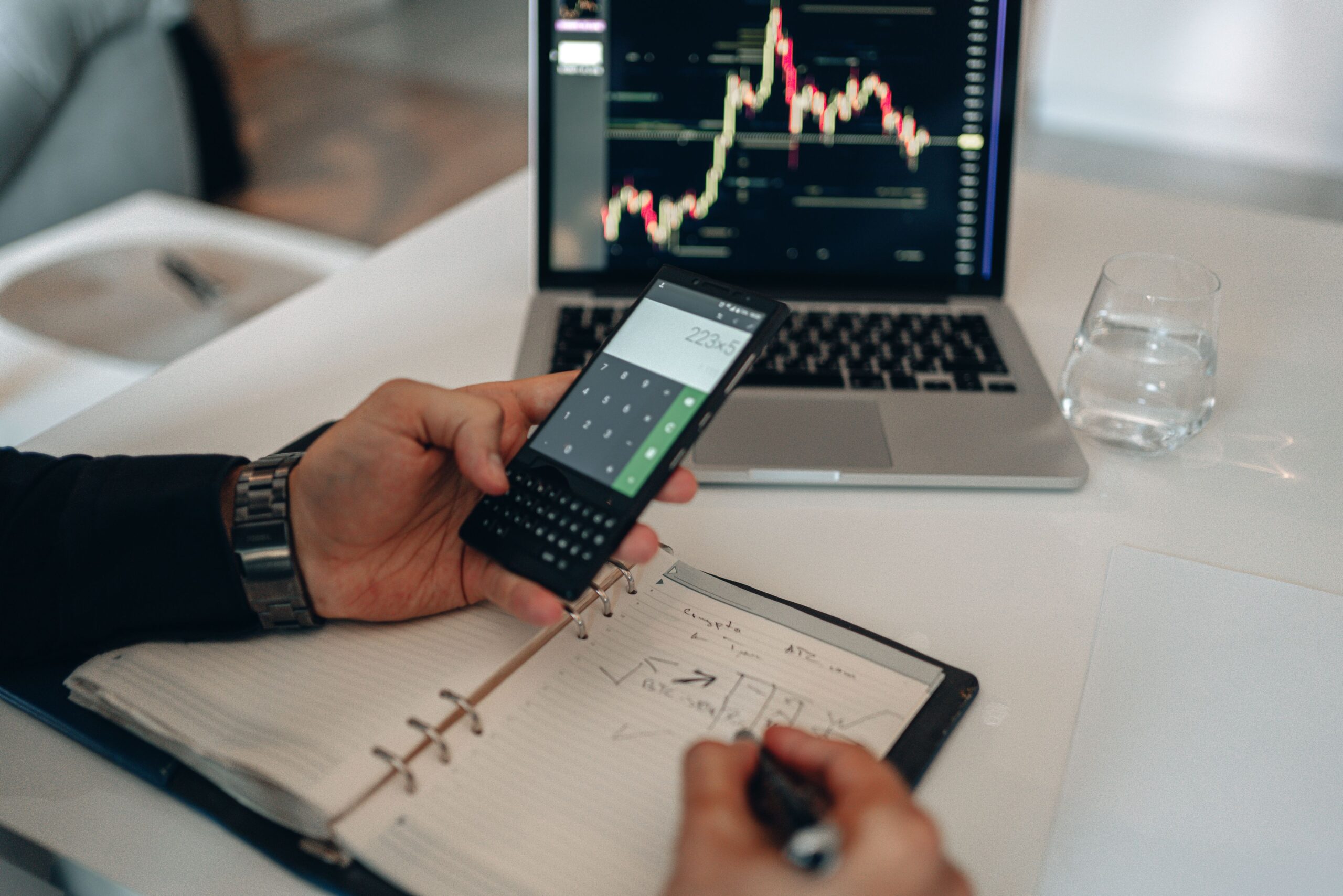 A person using a smartphone to log into a secure personal banking and government verification portal