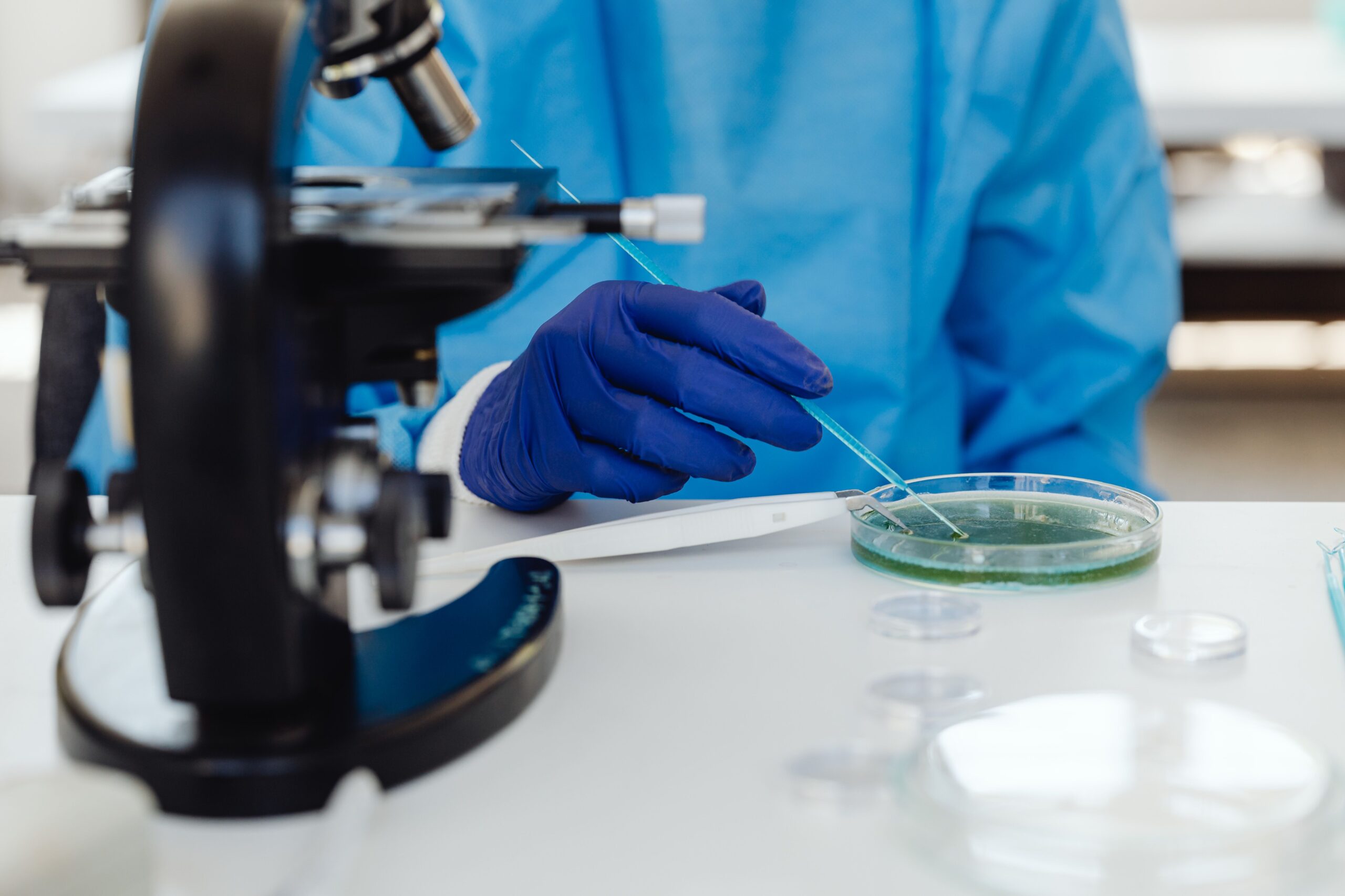A professional healthcare journalism photograph capturing a scientist analyzing biological food samples through a high-magnification laboratory microscope