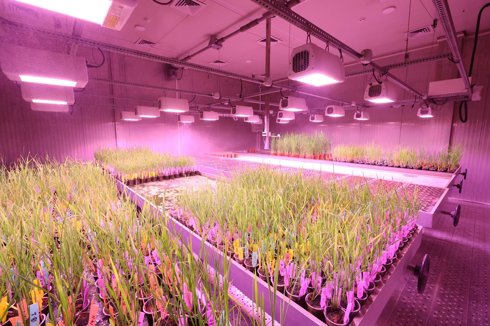 A professional technological journalism photograph displaying advanced automated drip irrigation arrays and solar environmental controls representing hotter Europe needs Israeli science metrics